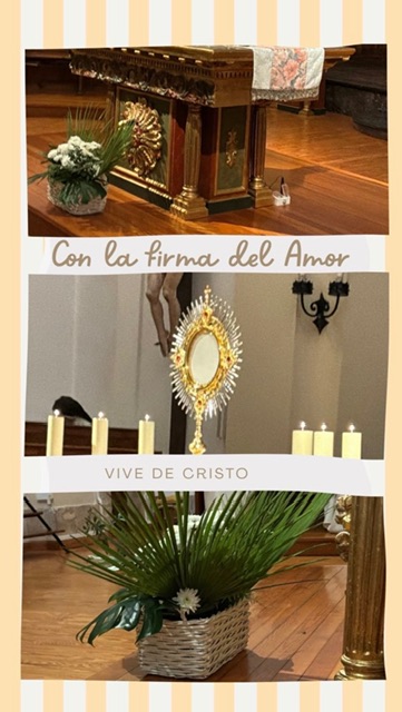 Hoy el reto del amor es que seas “un despistado”, un despistado que vive por y para Jesús